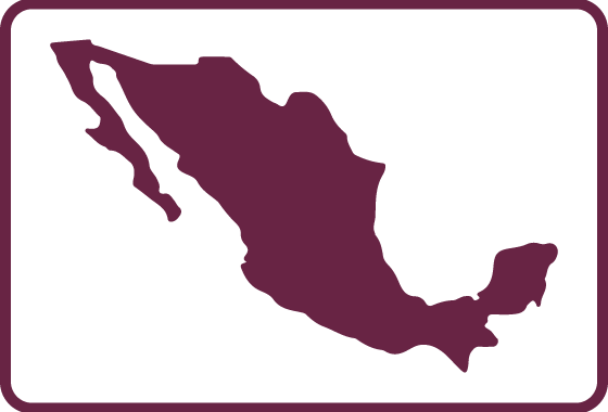 Incidentes Foráneos