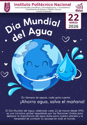 Mundial del agua 