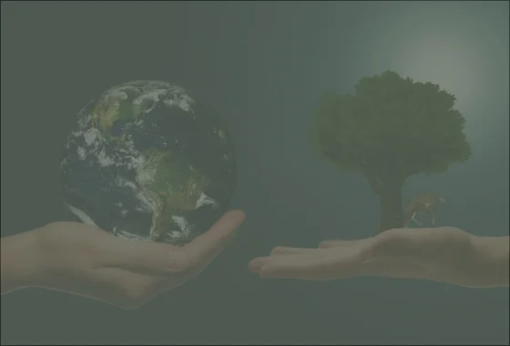 Plan de Manejo Ambiental 2025