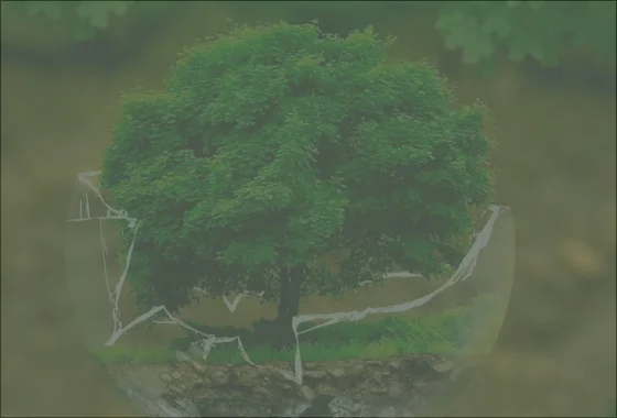 Programa de Actividades 2025