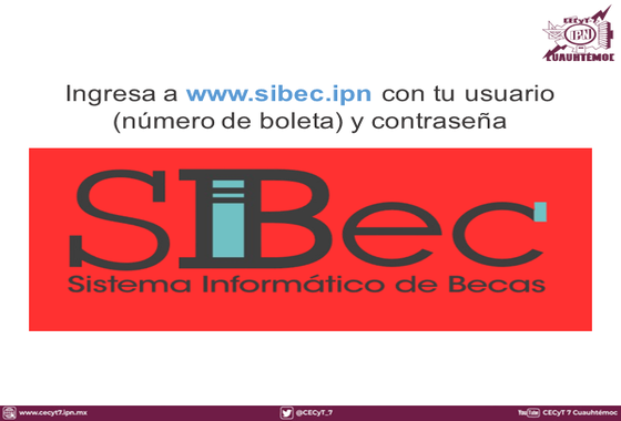 SIBec 2026