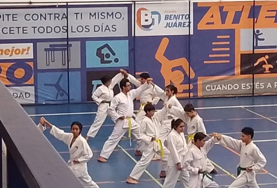 Artes Marciales Mixtas